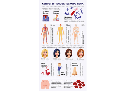 Infographics. Human body secrets graphic design infographic infographic design infographics information design графический дизайн инфографика