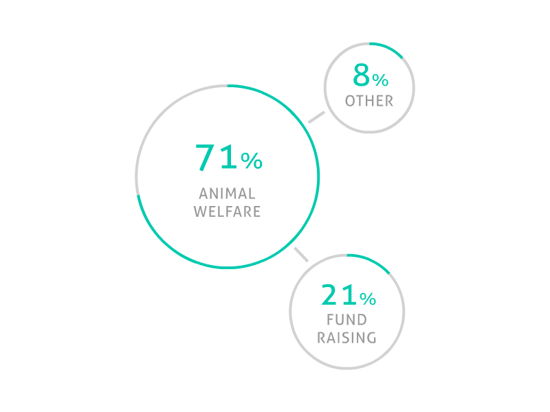 Animated Stats app gif graphics statistics ui