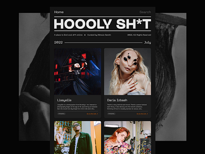 HOOOLY SH*T / Blog Concept