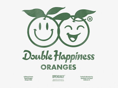 🙂😊 fruit illustration opendaily oranges