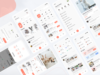A pet app interface display app design icon illustration ui
