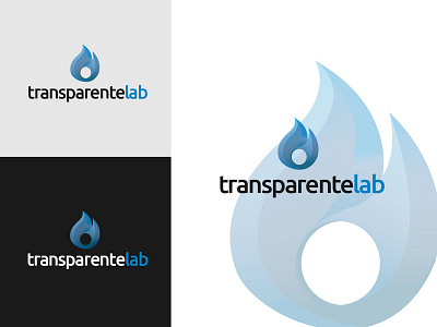 Transparentelab logo proposal branding branding design icon