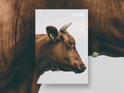 Cadre - Magazine concept for a rural magazine cover cow hendy magazine tyler tyler hendy