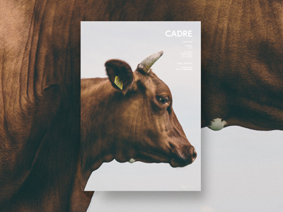 Cadre - Magazine concept for a rural magazine