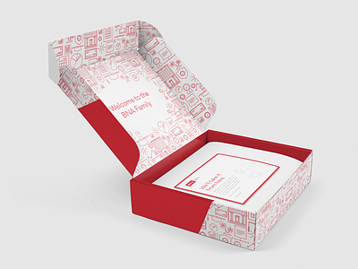 BNA Box finance illustration mockup package pattern red tax welcome box