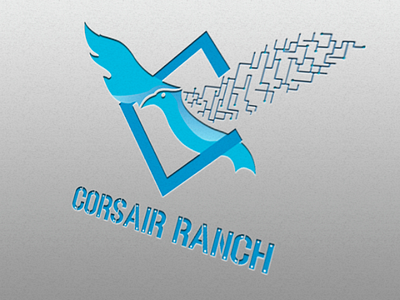 Corsair Ranch Logo icon brand logo illustration