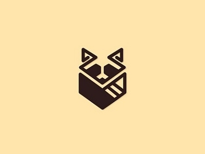 Raccoon abstract animal box creative lines logo raccoon
