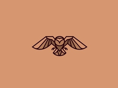 Owl bird brand branding creative lines logo logotype owl