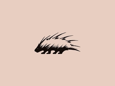 Porcupine animal creative design illustration logo logotype porcupine