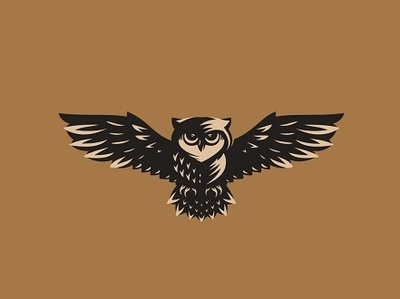 Owl logo animal bird creative design illustration logo night owl owl owl logo