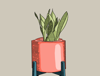 Plant colour design illustration plant procreate