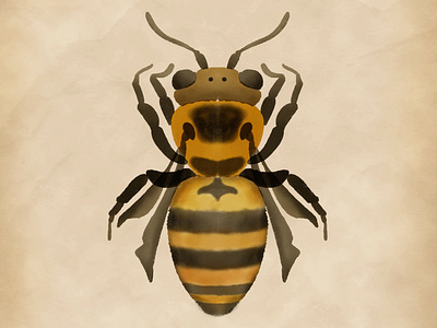 Watercolour bee