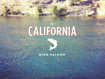 California King Salmon bureau eagle california fenway fishies gotham condensed illustration instagram salmon