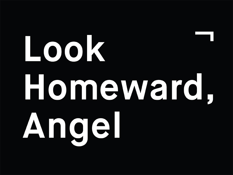 Look Homeward Angel black book cover foraging maison neue mono sans typography white