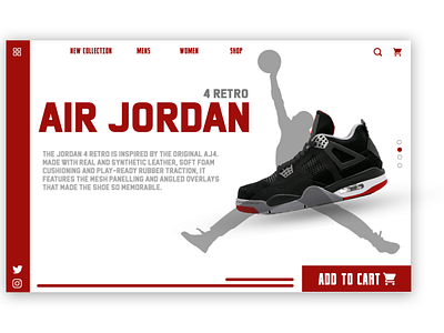 Jordan Shoe concept