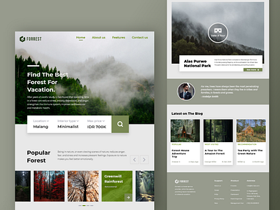 Forrest Website design forest travel web travel website ui vacation vacations web web design web ui webdesign website website design