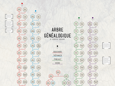 Genealogical tree infographic information design typogaphy