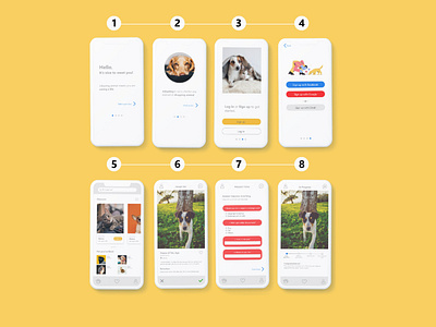 wireframe experience design (House Pet Adoption)