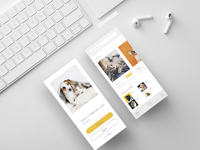 mockup experience design (House Pet Adoption Experience)