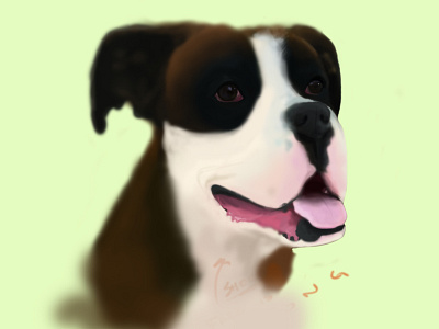 Rocky the Dog 3 dog doggie doggy illustration rocky wip