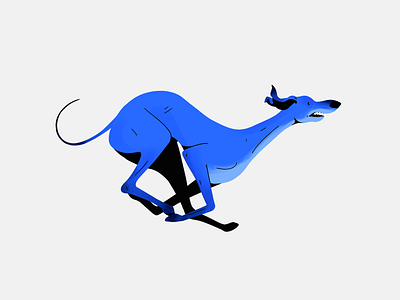 Greyhound animal dog figures greyhound illustration pose run