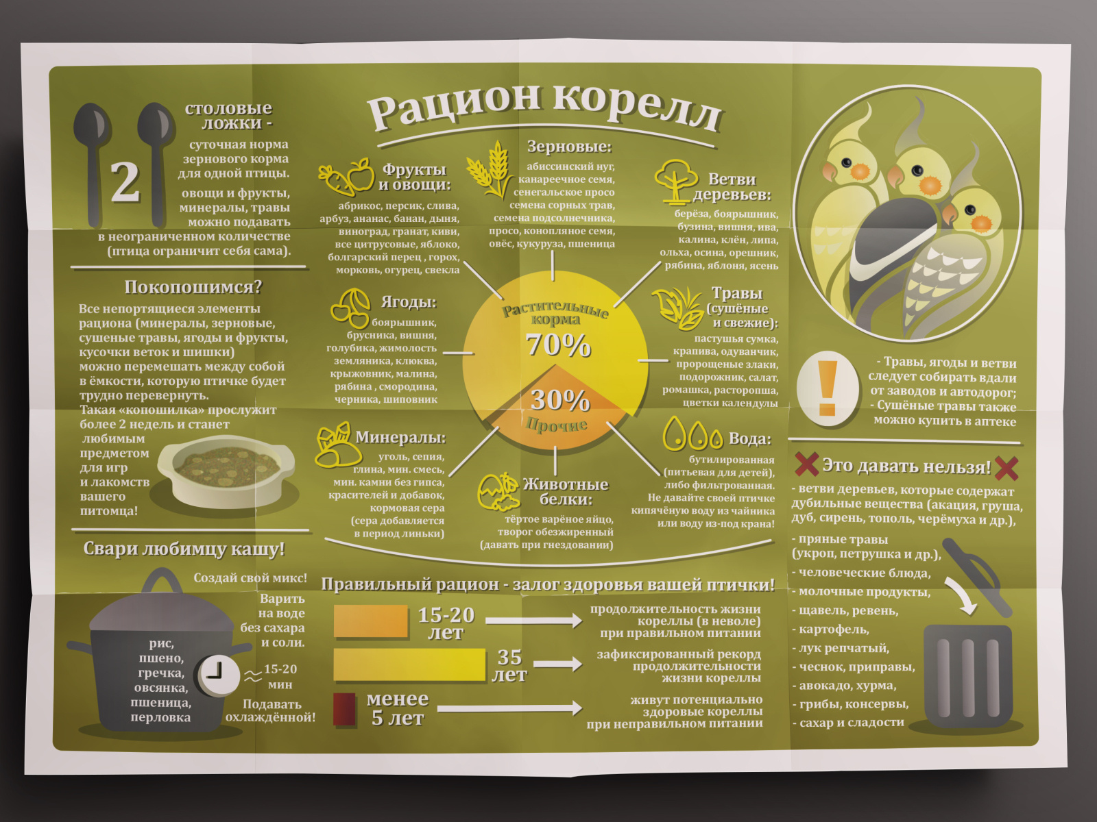 Рацион корелл by Alesya Kotsur on Dribbble