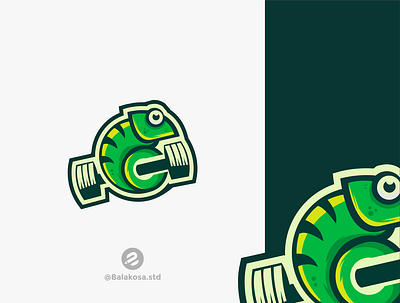 Chameleon logo design chameleon graphic design illustration logodesign vector