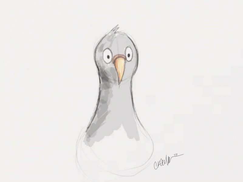 Birdie bobbing animation animation desk bird bob ipad sketch pigeon