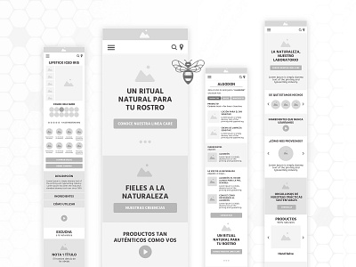 Burt's Bees Website Wireframes