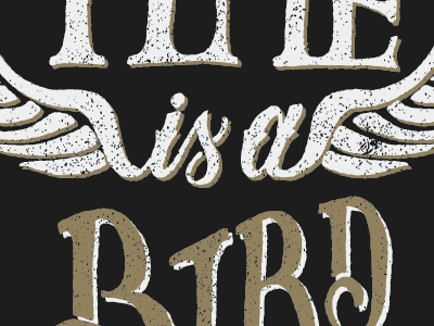 Time Is A Bird calligraphy graphicdesign grunge handlettering lettering typography