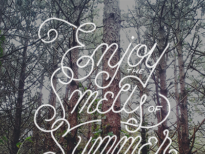 Enjoy The Smells Of Summer calligraphy handdrawntype handlettering lettering script typography vintage