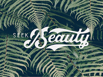 Seek Beauty