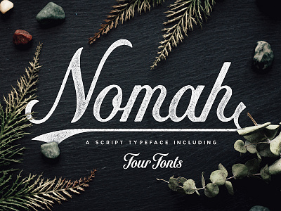 Nomah | Script Typeface + Bonus font grunge handlettering lettering script typeface typography vintage