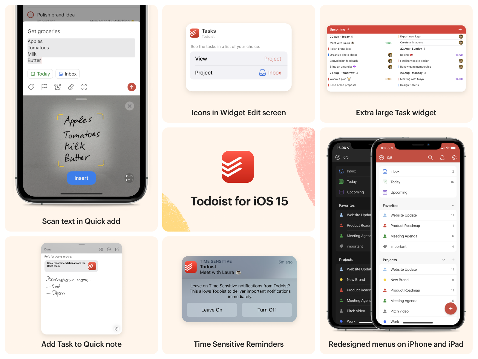 Todoist para iPhone