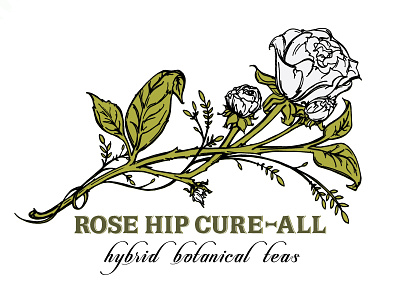 rose hip cure-all branding floral hand drawn illustration logo rose rose hip