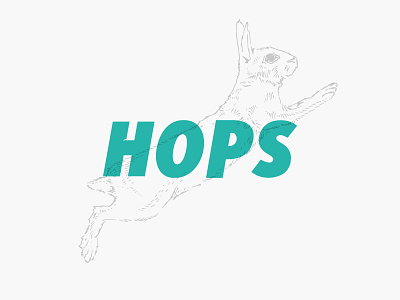 Got hops? basketball bunny hoopfest hop hops illustration rabbit sketch spokane