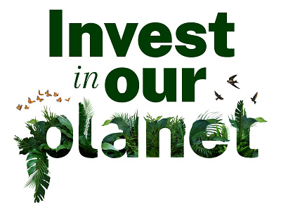 Invest in Our Planet design sustainability typography