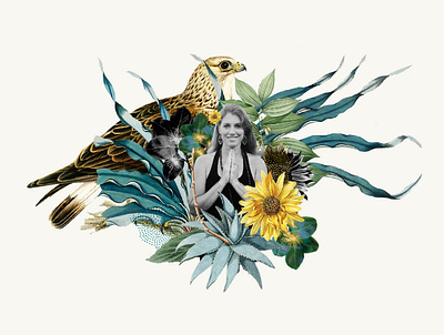 Collage Experiment collage design hawk plants yoga