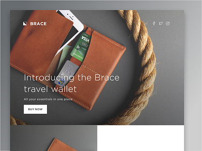 Daily UI: Landing Page landing page leather page photography product project website