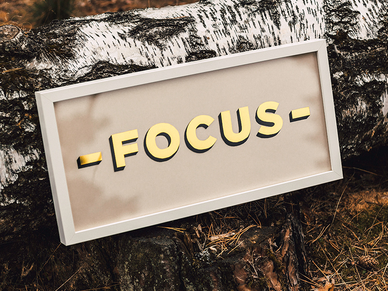 Focus Gild handlettering painting sign leaf gold glass gilded lettering