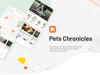 Pets Chronicles animation app app design art design icon logo ui ux vector