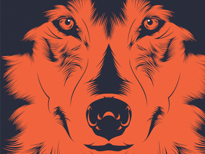 Wolf animal art art graphic creative design eyes face graphic art graphic design illustration vector wolf