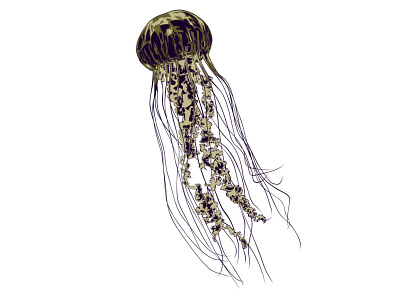 UNDER THE SEA artwork creative creature digital digital art editorial editorial illustration illustration illustrator jellyfish magazine nature ocean print sea vector