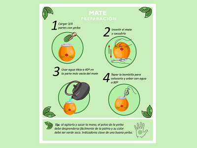 Preparación del Mate alimento cartel costumbre cultura gráfico hojas ilustración infusión material naturaleza preparación saludable vector verde yerba