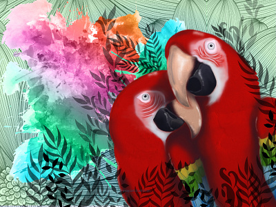 Guacamayos aves botánico cartel design diseño guacamayos hojas ilustración naturaleza rojos tarjeta vector