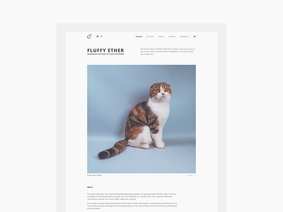 Fluffy Ether — cattery website cats cattery clean clean ui design interface minimal pets petshop simple ui userexperience userinterface ux web website white