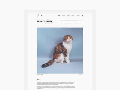 Fluffy Ether — cattery website