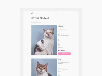 Fluffy Ether — cattery website cats cattery clean clean ui design interface minimal pets petshop simple simple design ui uidesign uiux userexperience userinterface ux uxdesign uxui white