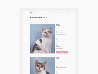 Fluffy Ether — cattery website