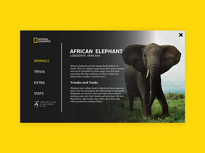 National Geographic Interactive Video Experience concept elephant interactive video mockup nat geo national geographic ui ux video wirewax